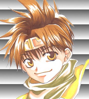 �P�P���̑��ŏo�����R�s�[�{�̕\���ł���